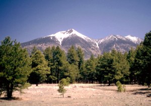 6a00d834bb9d1069e200e54f8816228833-800wi