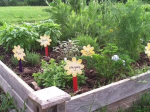 One of my raised herb beds.