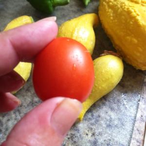 Goodies from my garden last year.